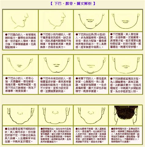 下巴圓 面相|圓下巴：面相學的新寵兒